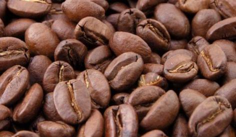 Súlyosan károsítja a kávépiacot a klímaváltozás