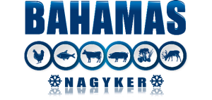 BAhamas logo