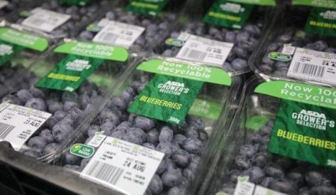 Asda Introduces Blueberries In 100% Recyclable Punnets