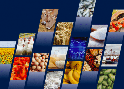 FAO’s Food Outlook: Developing countries buoy global food trade