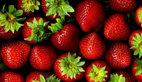 Carrefour Suspends Sales Of Strawberries Until Mid-February