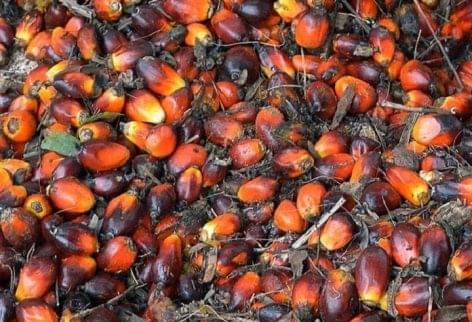 Palm oil at the peak of a decade