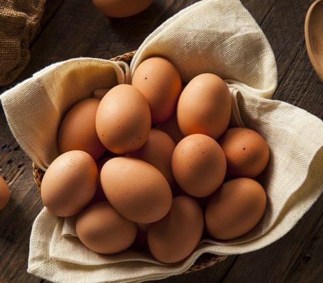 AM: Hungary can be self-sufficient from eggs