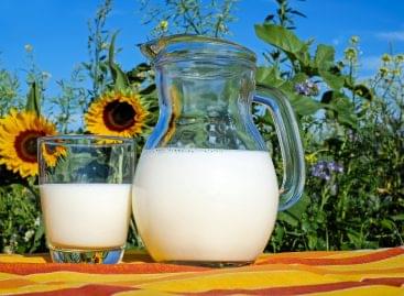 The milk campaign encourages conscious consumption