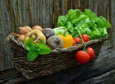 Étlapok rövid üzenetei hatására többen választanak növényi alapú ételt