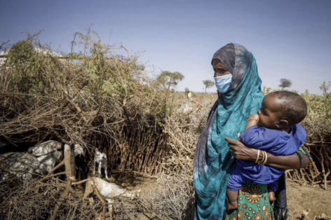Famine relief blocked by bullets, red tape and lack of funding, warn FAO and WFP as acute food insecurity reaches new highs
