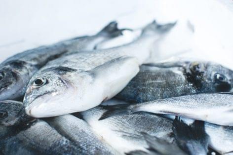 A hazai halgazdálkodási ágazat profitálhat az EUROFISH tevékenységéből