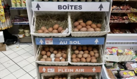 Doboz nélküli tojásokat értékesít a Carrefour