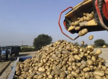Waitrose Signs Up To Organic Potato Pledge