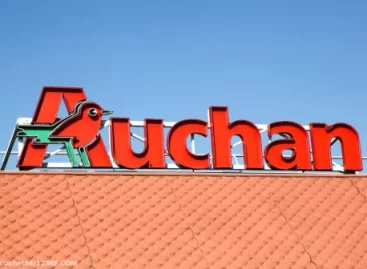 Hat hazai civilszervezetet támogat az Auchan Alapítvány