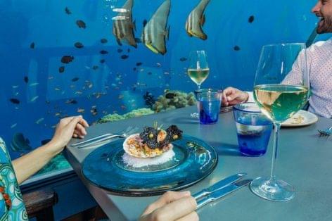 The Amazing 5.8 Undersea Restaurant at Hurawalhi Maldives – Video of the day