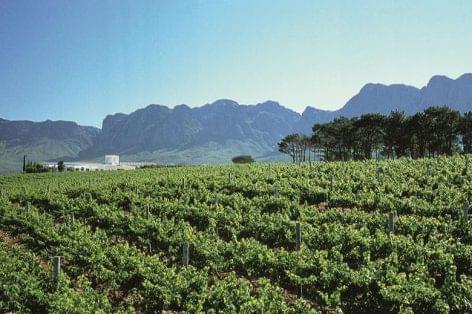 Minden új dél-afrikai bor Fairtrade minősítést kap a Co-opnál