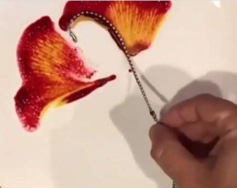 (HU) Virágszirmok a tányéron – A nap videója