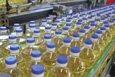 Serbia Restricts Exports Of Grains And Cooking Oil