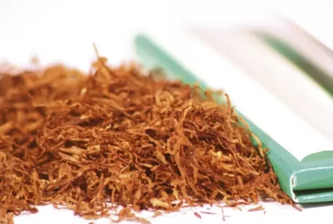 Tobacco Has New Role To Play In Lab-Grown Meat, Biotech Startup Says