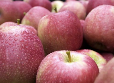 Pink Lady® apple creator dies at age 95