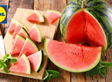 The domestic melon season at Lidl begins