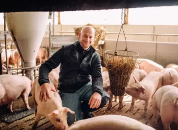 Kaufland Switches To Fresh Pork Of German Origin
