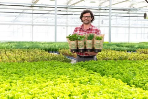 Környezetbarát csomagolást dob piacra a SPAR Ausztria cserepes fűszernövényeinek