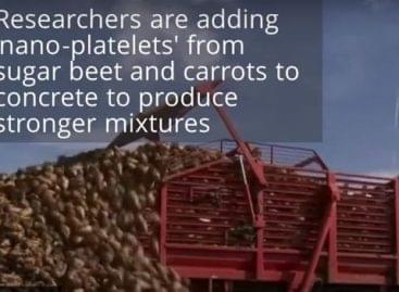 Cement gyümölcs- és zöldséghulladékból – A nap videója