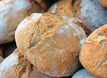 Ez az, ami a kenyér további, 30-40 százalékos drágulásához vezethet