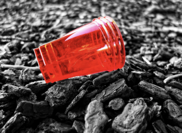 A visszaváltható műanyag poharakért a valóságban ritkán jár pénz