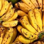 A szárított banánhéj lehet a jövő új üzemanyaga?!