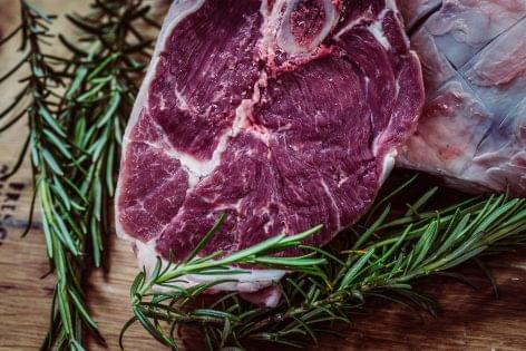 Plant-based meat now cheaper than animal meat in Netherlands