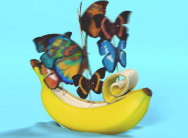 Scenes from the life of bananas – Video of the day