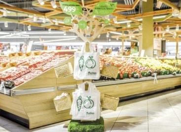 A jövő már elkezdődött! – átfogó fenntarthatósági stratégia az Auchannál