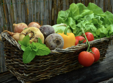 Már egy percen belül tudhatjuk, mennyi vitamin van a zöldségben vagy gyümölcsben