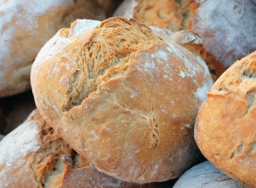 Jelentős kenyérdrágulás jön: a pékek emelkedő rezsije a fő ok