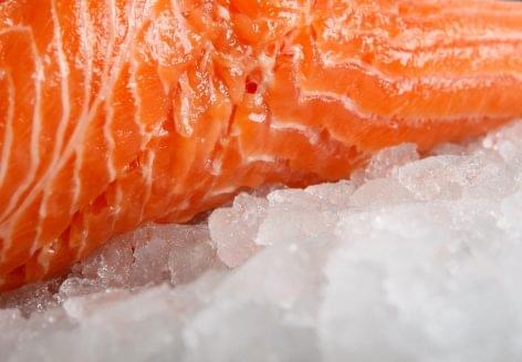 Iceland develops recyclable paper packaging for frozen food