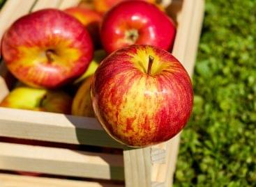 The situation of Polish apple producers has improved due to the decrease in the Chinese harvest