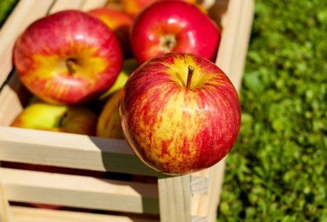 The situation of Polish apple producers has improved due to the decrease in the Chinese harvest
