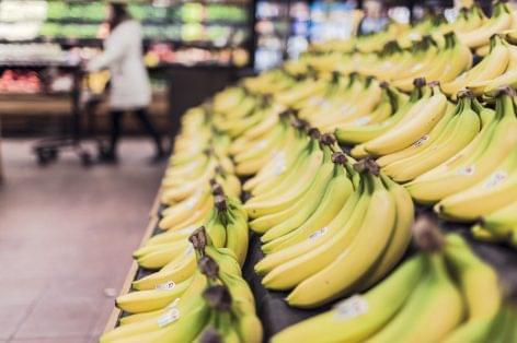 Az orosz-ukrán háború miatt csökken az ecuadori banánexport