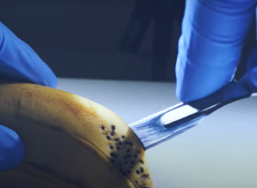 Dissecting a banana – Video of the day