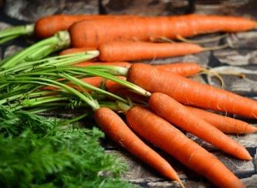5 facts and an easy grill recipe – Small carrots from the European Fresh Team program