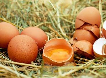 Ismételt változások a baromfihús- és tojáságazatban alkalmazandó, valamint a tojásalbuminra vonatkozó irányadó árakban