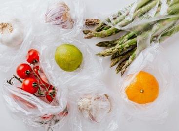 Welsh government plans to ban all single-use plastic bags