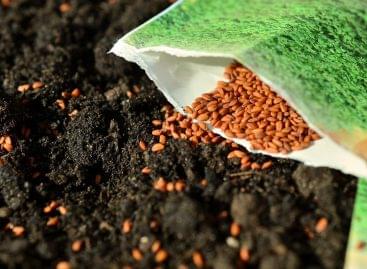 Professional association: seed shortage can be avoided by changing the law