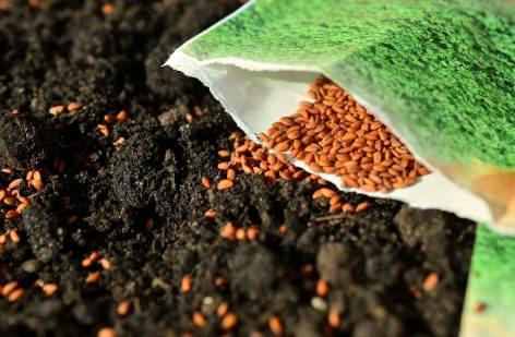 Professional association: seed shortage can be avoided by changing the law