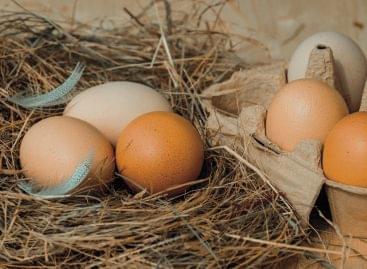 Bolygóbarát tojásokat kínál a Morrisons áruházlánc