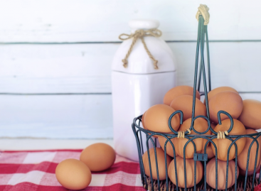 Eggs may soon cost 100 HUF