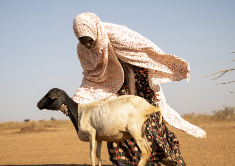 FAO: súlyosbodik válság a 19 „élelmezési gócpont” országban