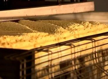 This is how Pringles is made – Video of the day