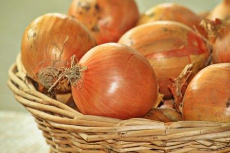 The Dutch onion market is booming
