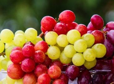 Fresh domestic grapes are a healthy treat