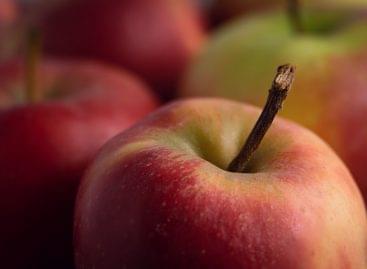 When will the EU apple market breathe?