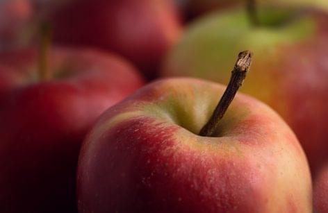 When will the EU apple market breathe?
